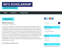 Tablet Screenshot of infoscholarship.net